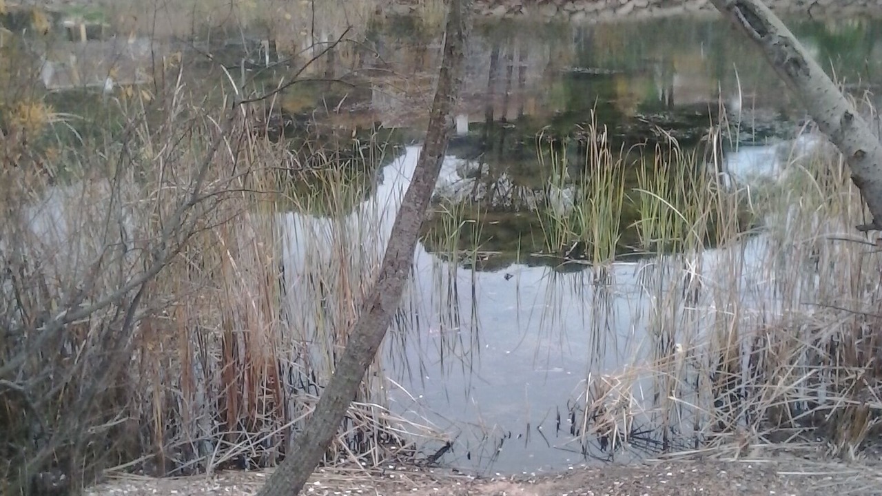 Photo of Outdoor in Las Jaras