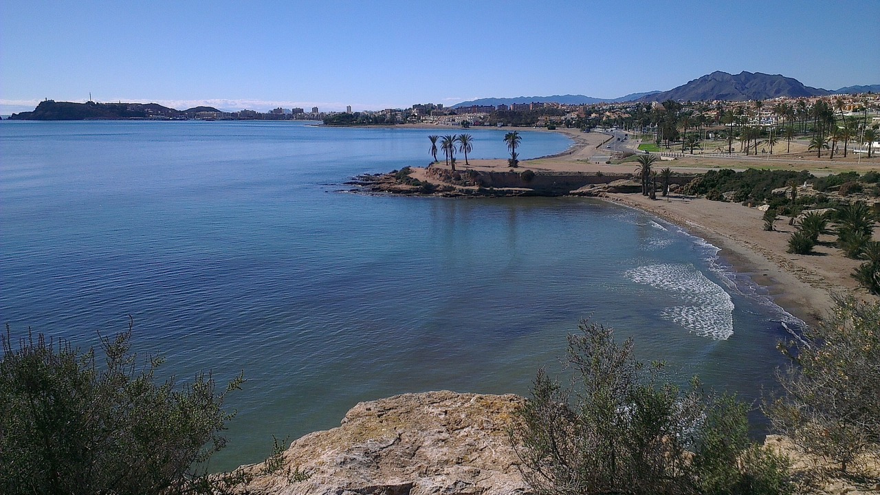 Photo of Others in Isla Plana