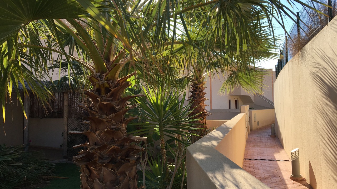 Photo of Others in Isla Plana