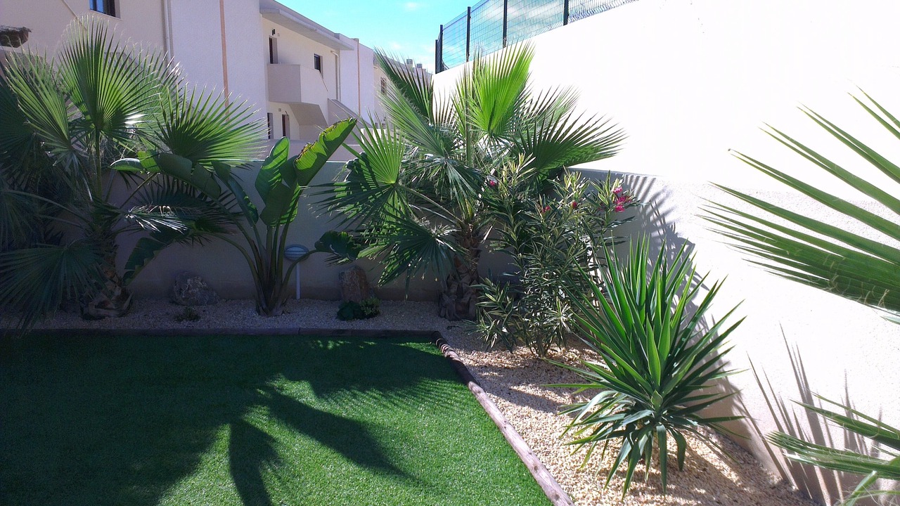 Photo of Outdoor in Isla Plana