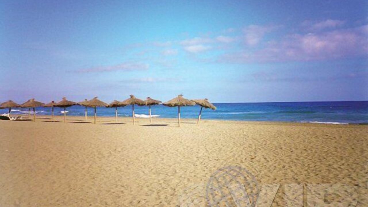 Photo of Others in Puerto Rey