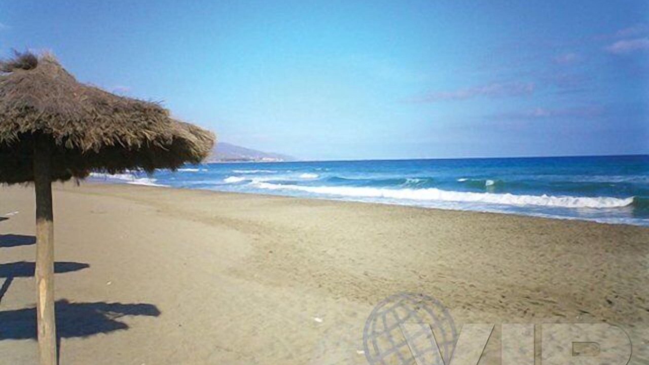 Photo of Others in Puerto Rey