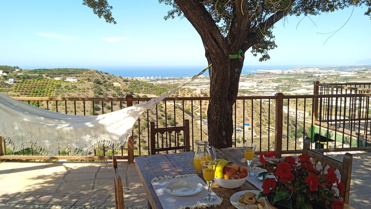Photo of Outdoor in Algarrobo