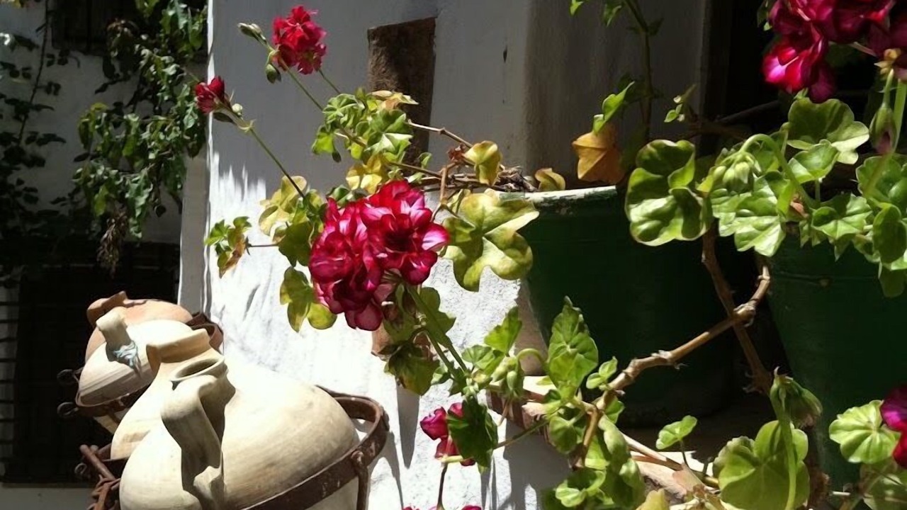 Photo of Outdoor in Casabermeja