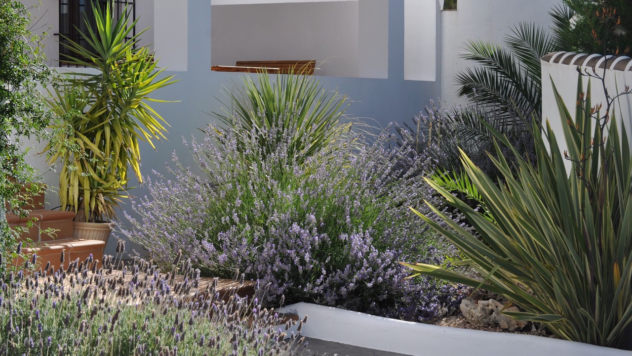 Photo of Outdoor in Villanueva del Rosario