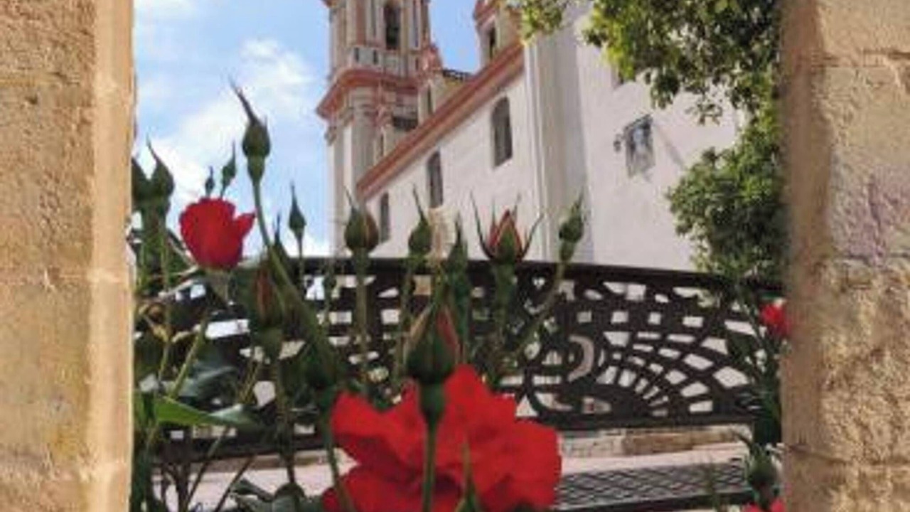 Photo of Outdoor in Penaflor