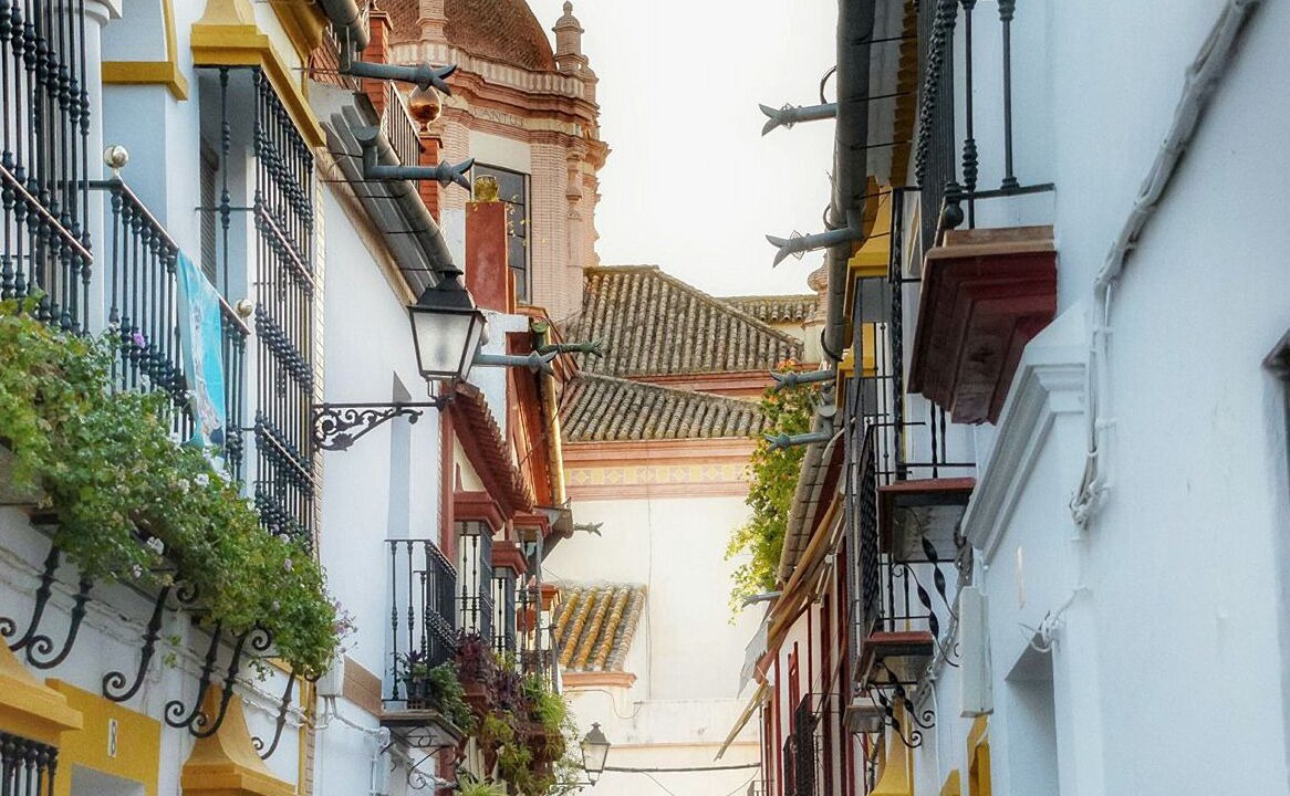 Photo of Others in Penaflor