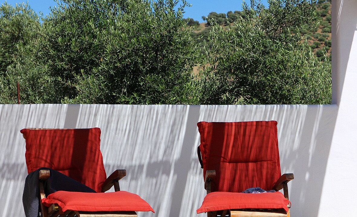 Photo of Outdoor in Algodonales