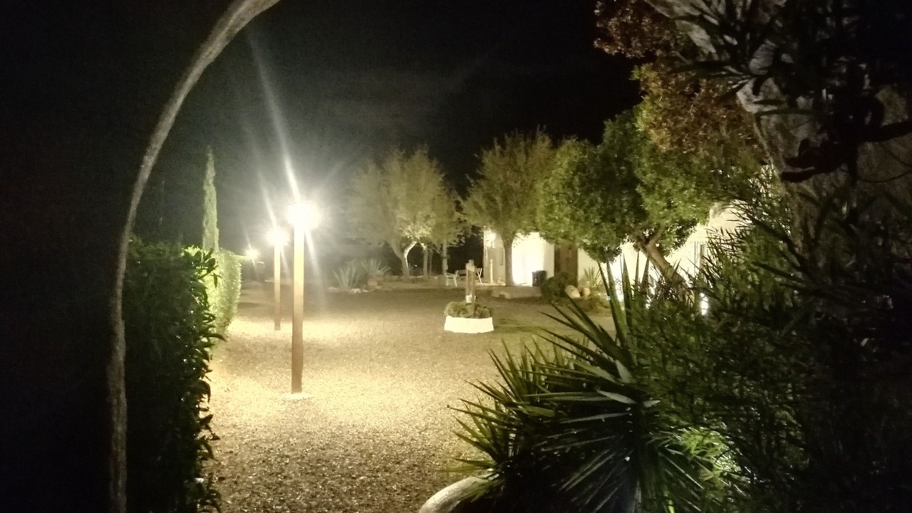 Photo of Outdoor in Felix