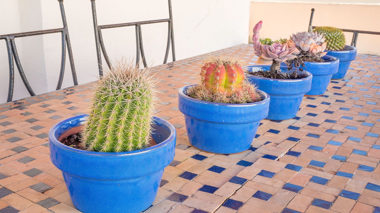Photo of Outdoor in Old Town
