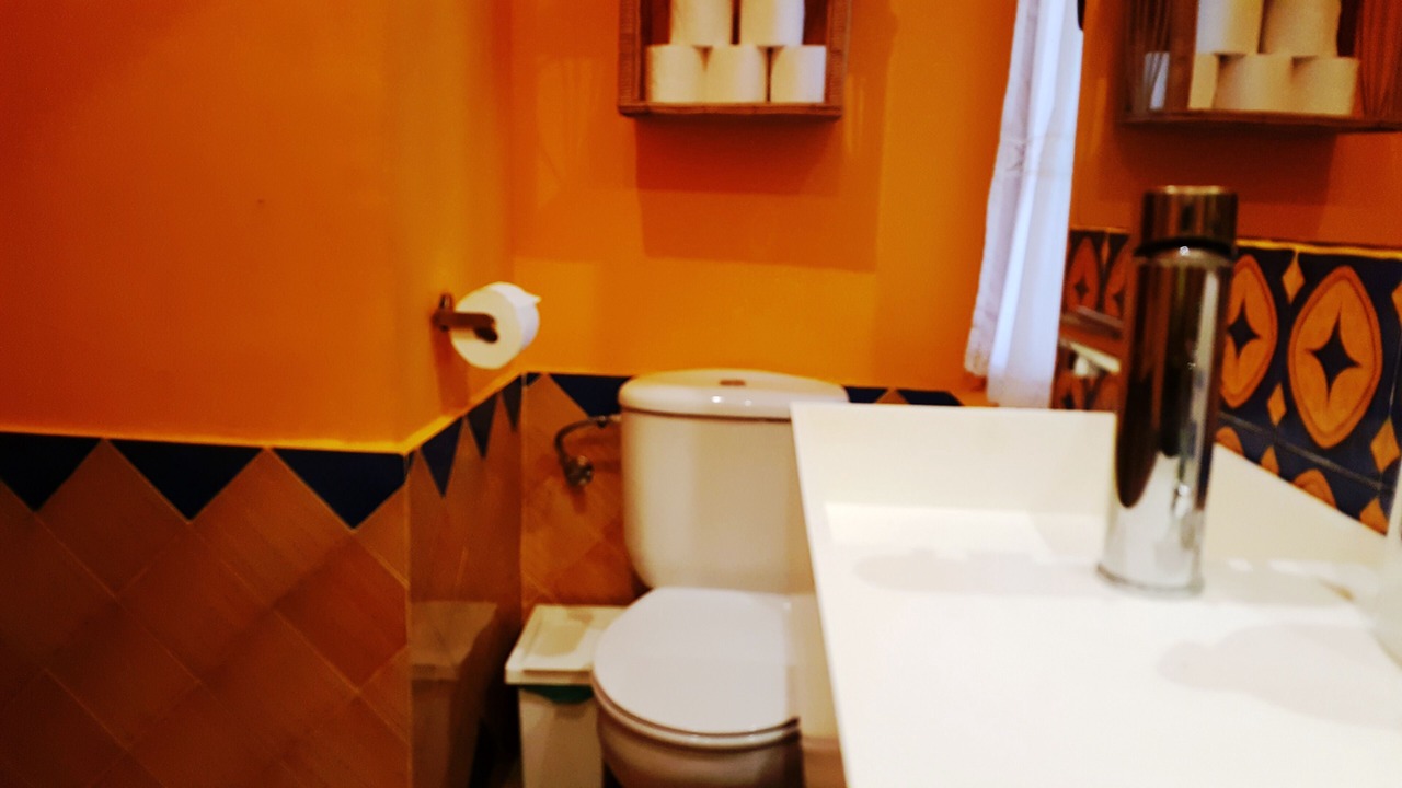 Photo of Bathroom in Monesterio