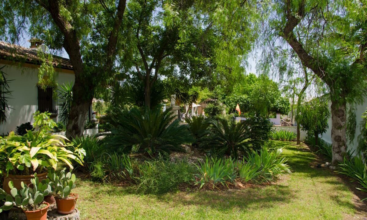 Photo of Outdoor in Montemayor