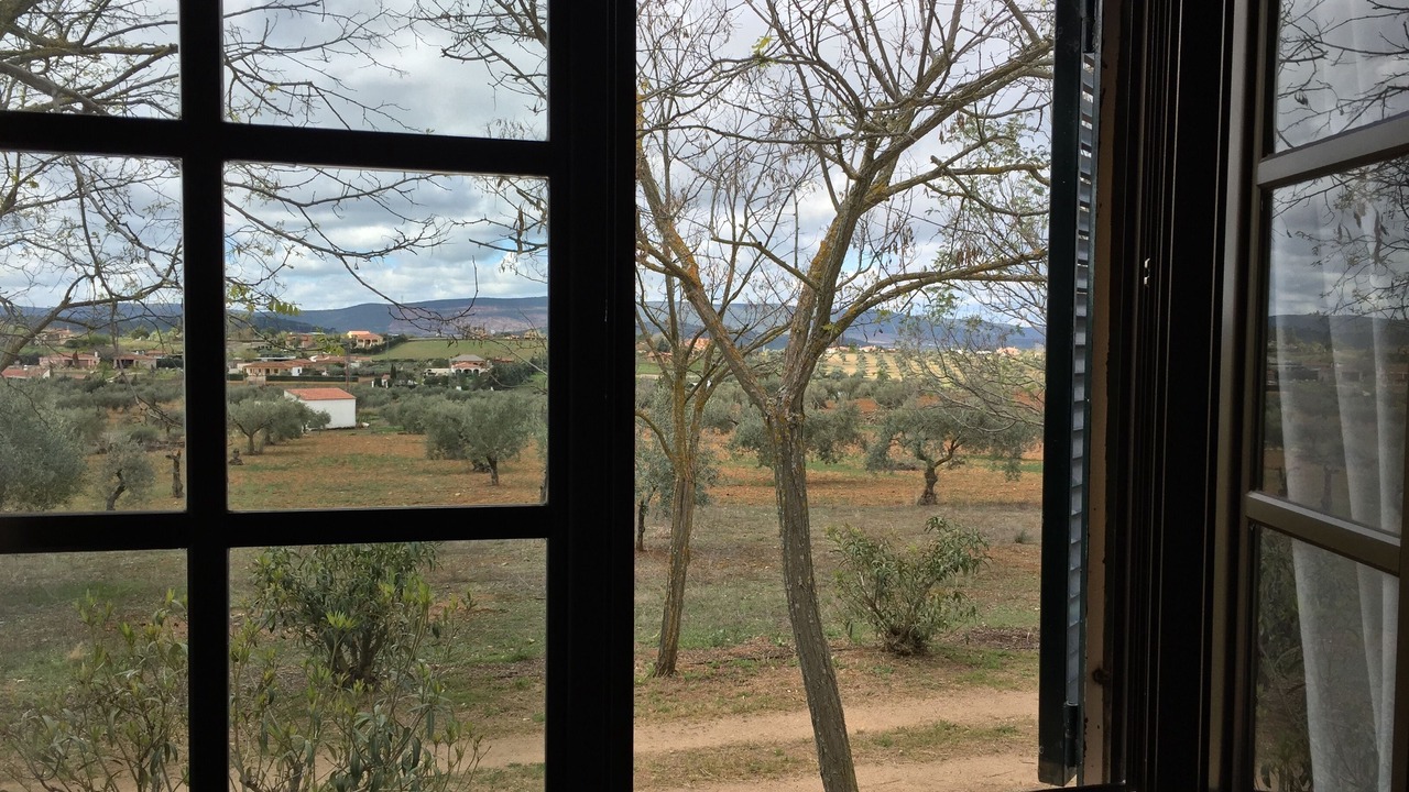 Photo of Others in Zafra