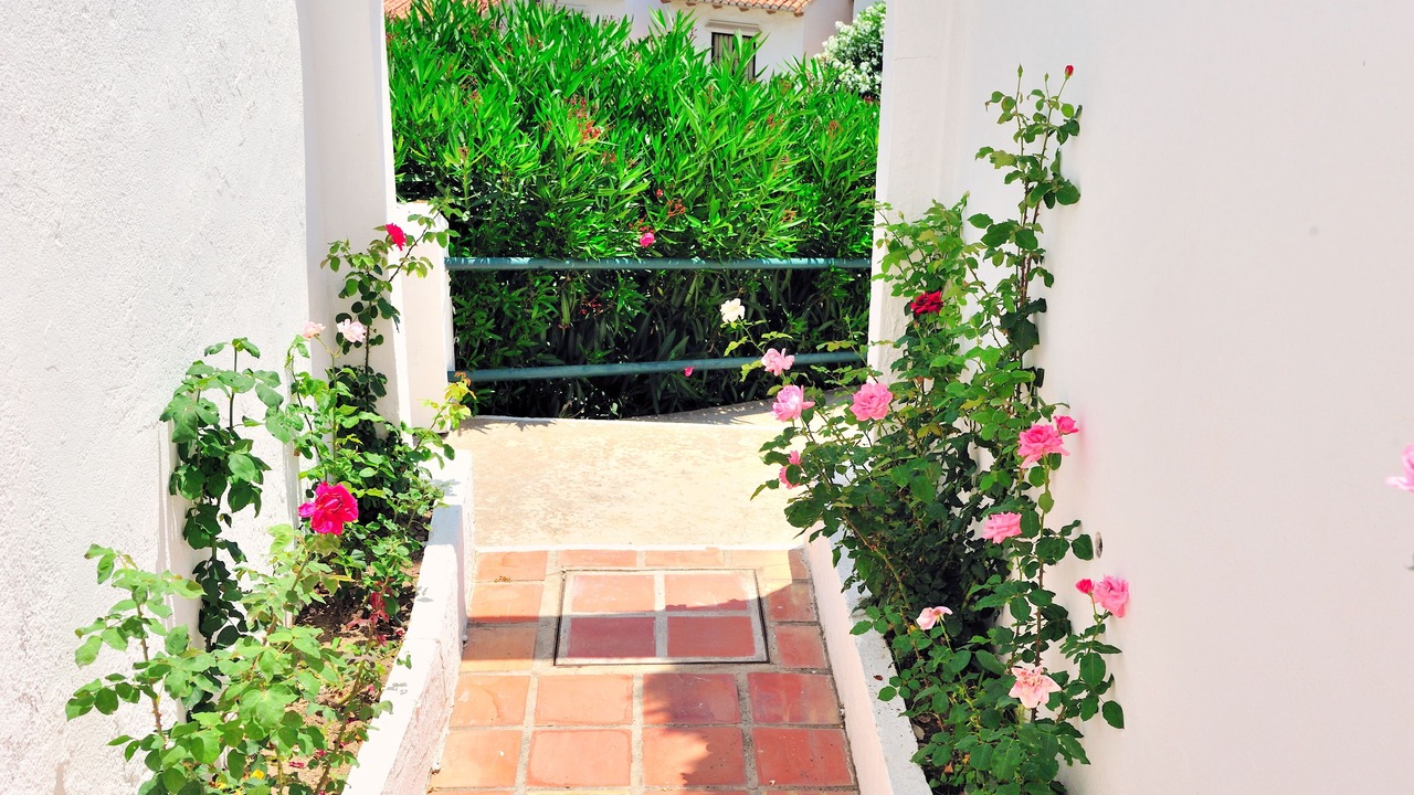Photo of Outdoor in Benalmadena Costa