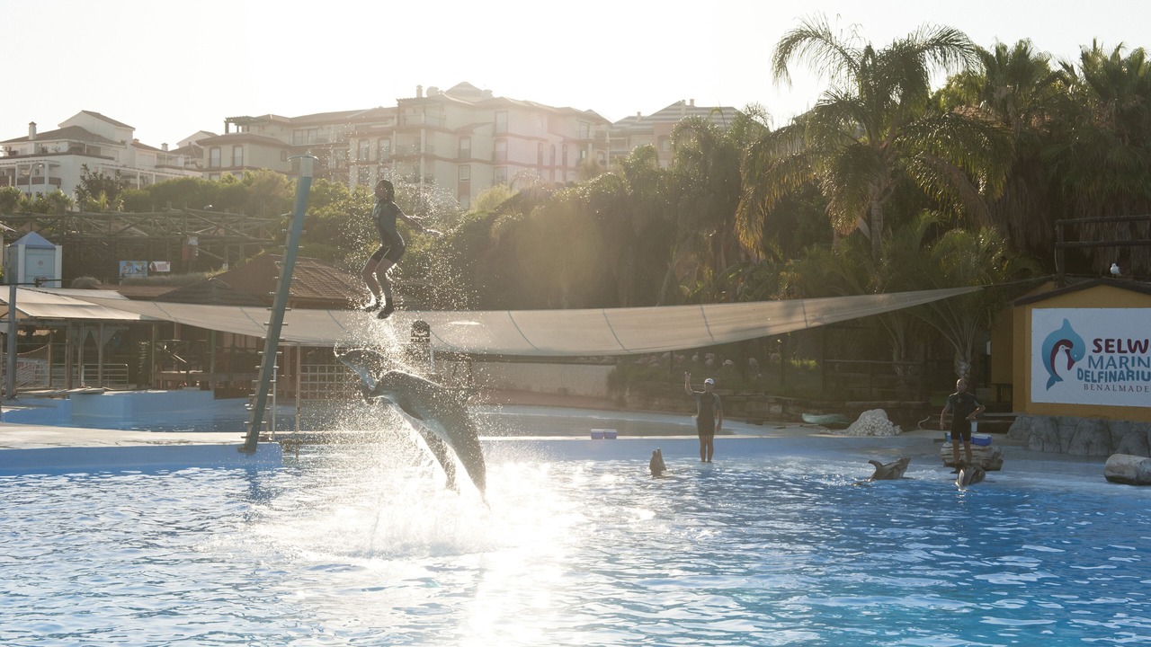 Photo of Outdoor in Benalmadena Costa