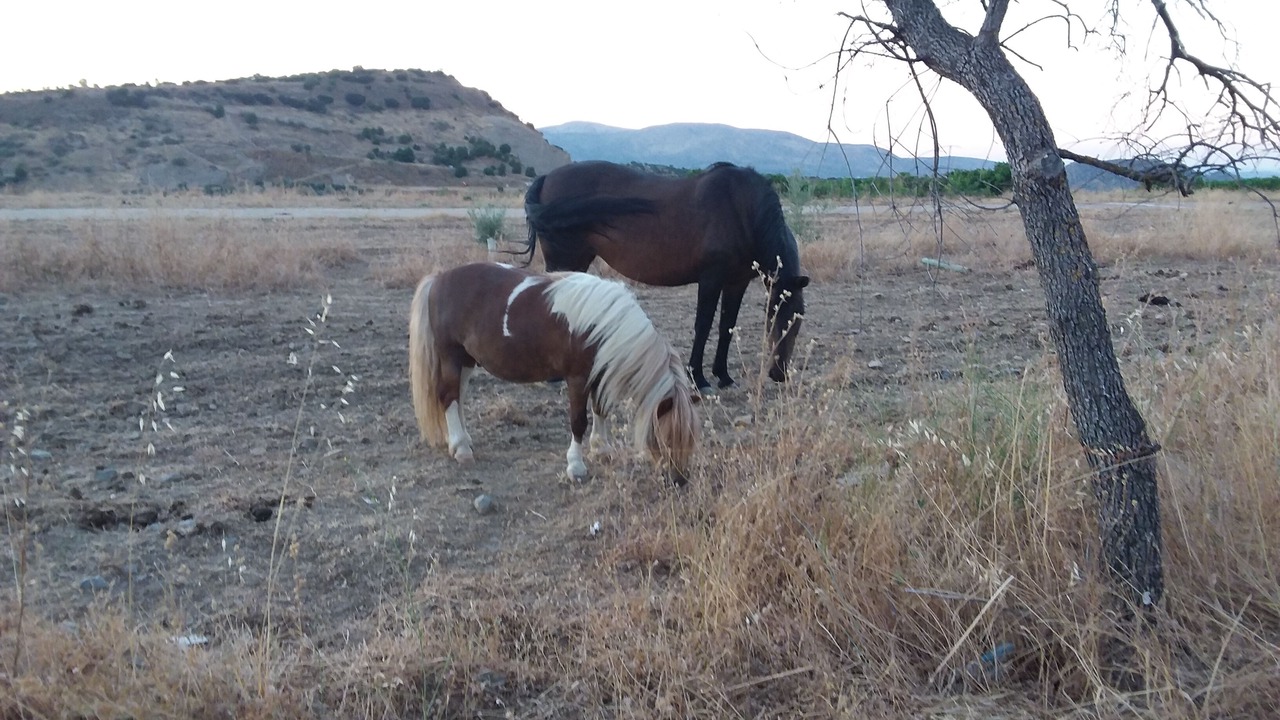 Photo of Others in Priego de Cordoba