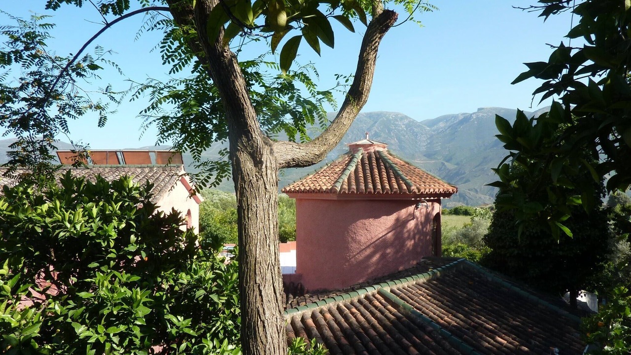 Photo of Others in Orgiva