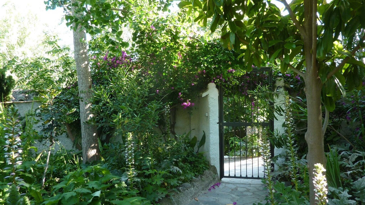 Photo of Outdoor in Orgiva