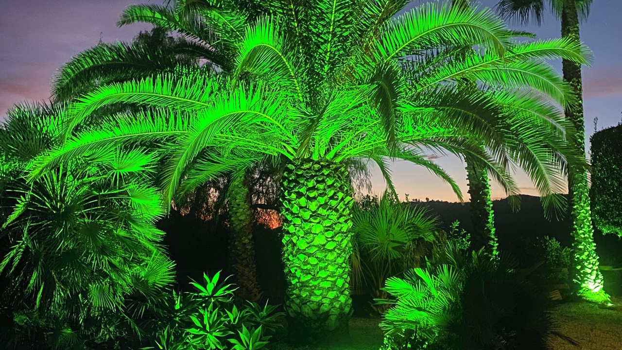 Photo of Outdoor in Competa