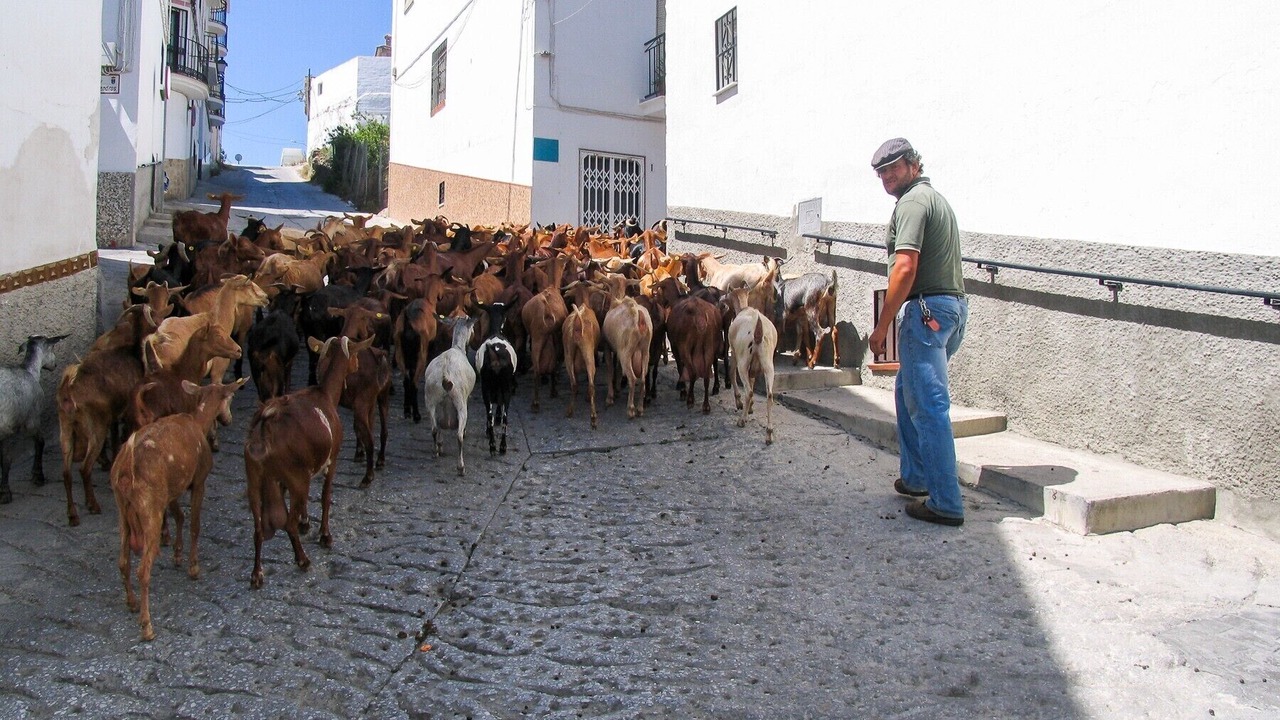 Photo of Others in Arenas