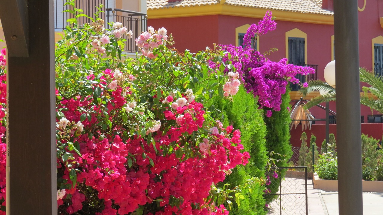 Photo of Outdoor in Isla Cristina