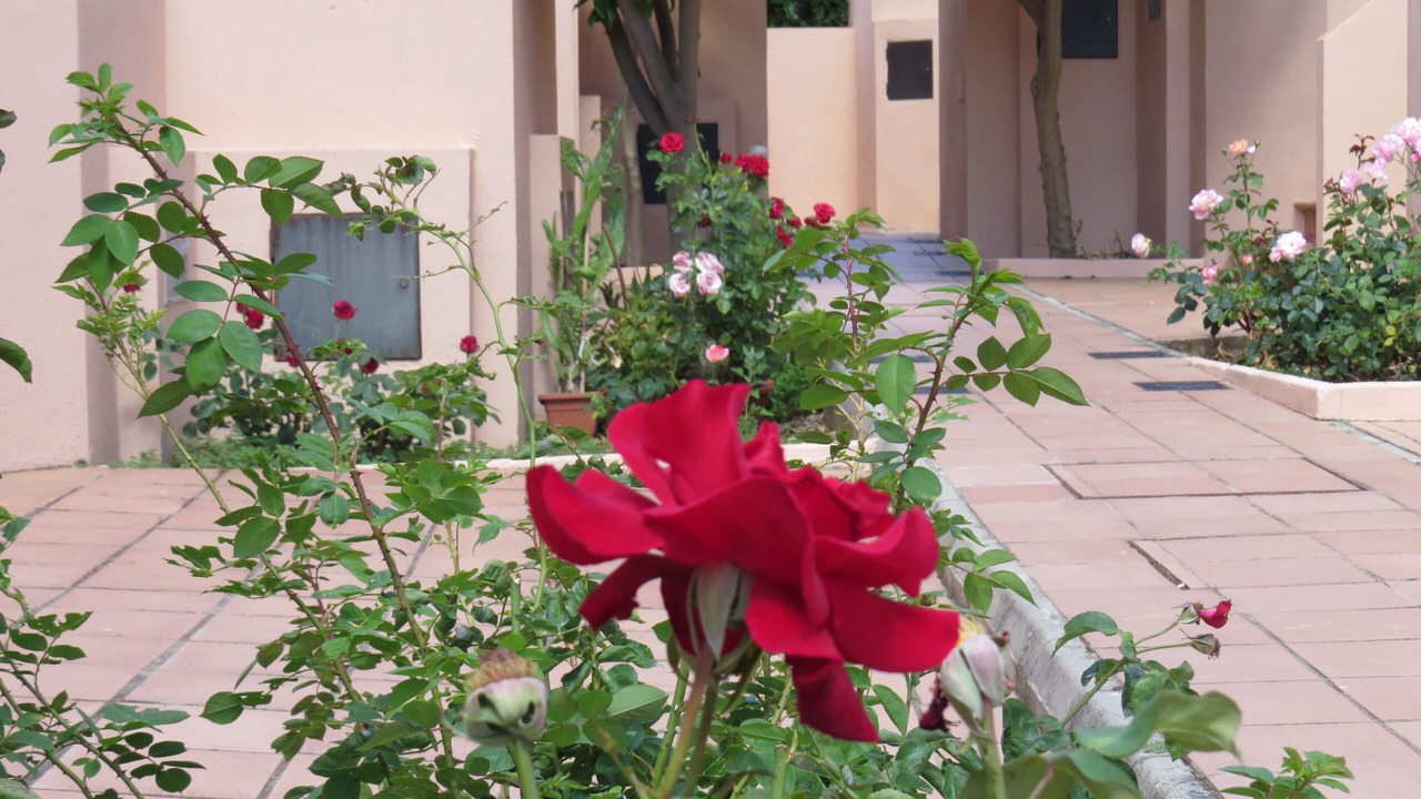 Photo of Outdoor in Isla Cristina