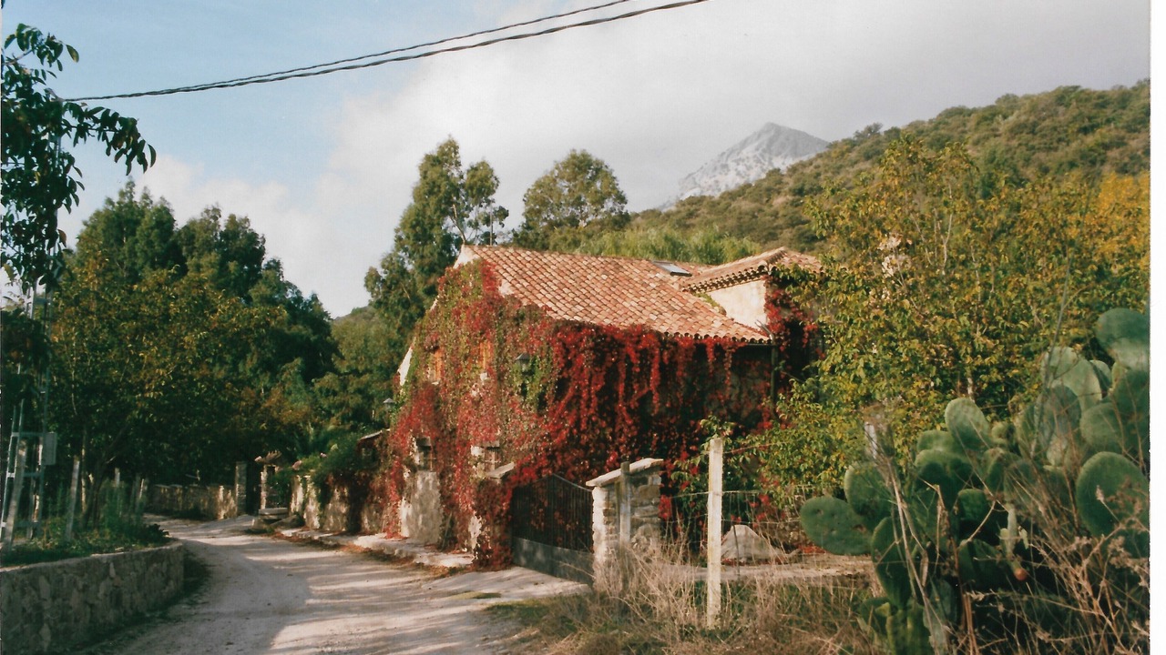 Photo of Others in Jimera de Libar