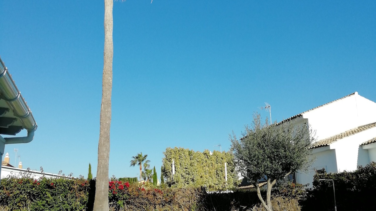 Photo of Outdoor in El Puerto de Santa Maria