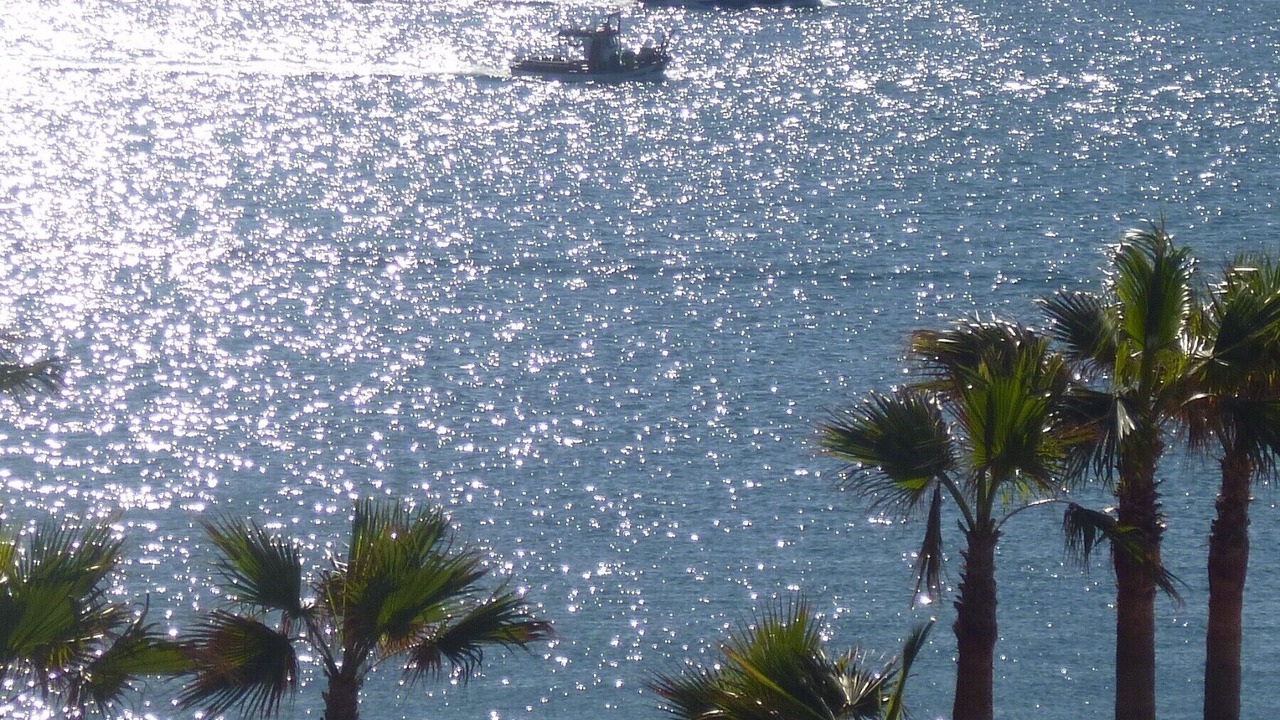Photo of Others in Manilva