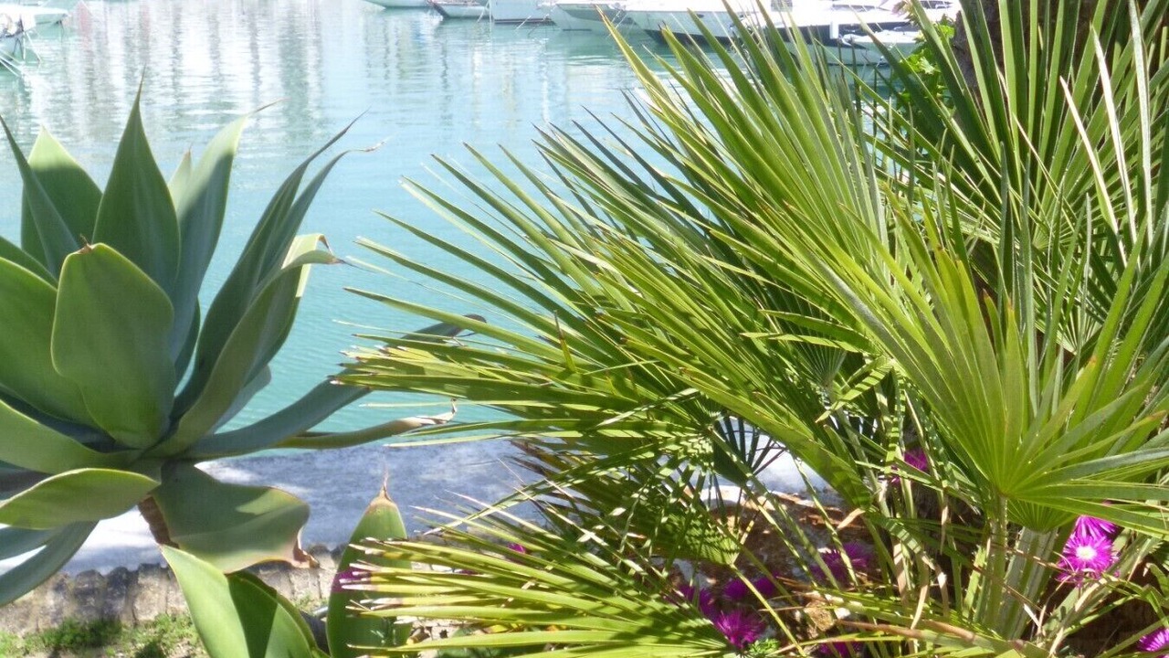 Photo of Outdoor in Manilva