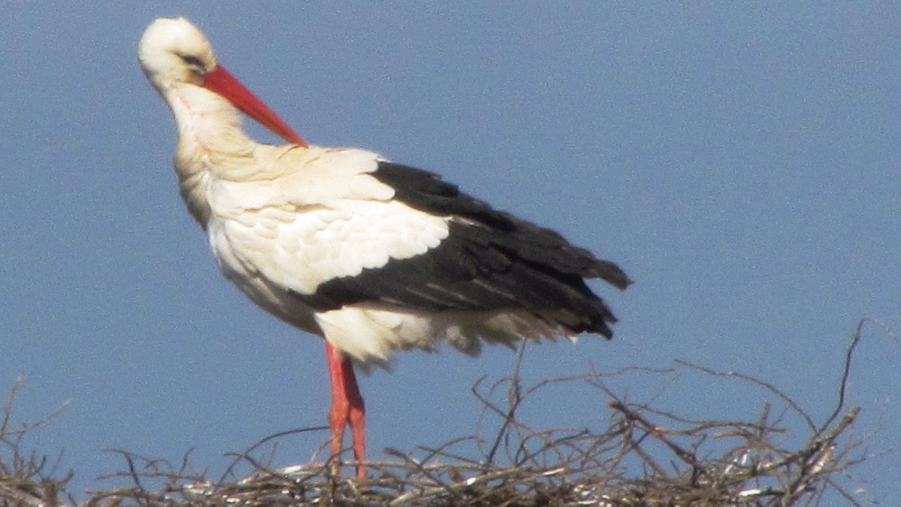 Photo of Others in Tarifa