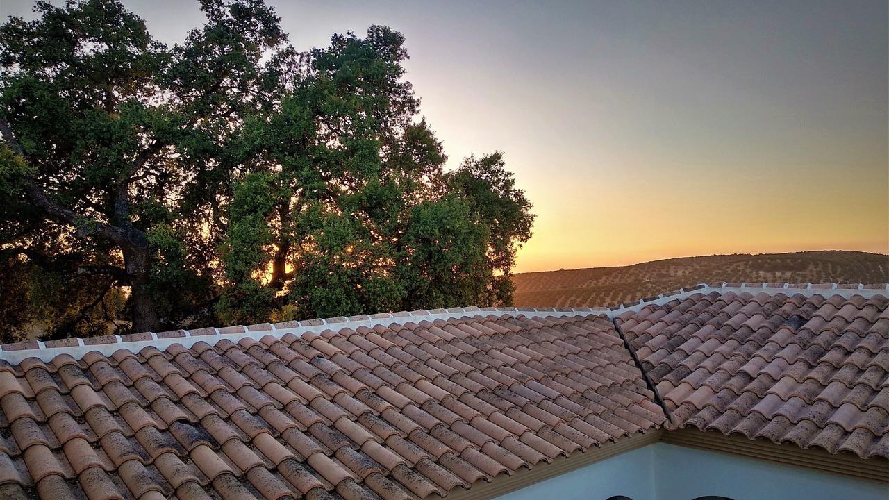 Photo of Outdoor in Villanueva de Algaidas