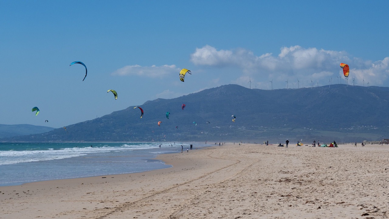 Photo of Others in Estepona
