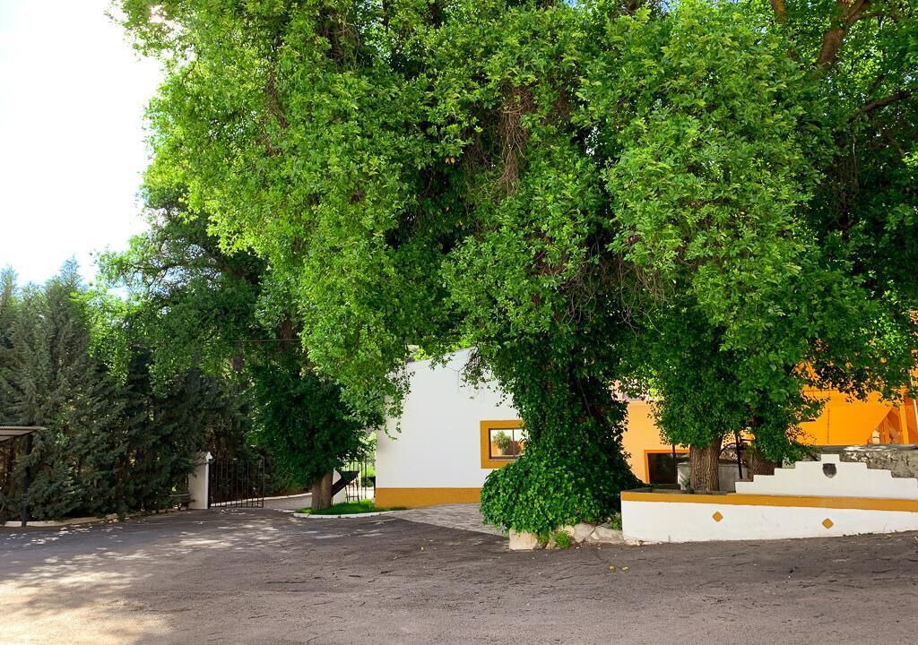 Photo of Outdoor in Huelma