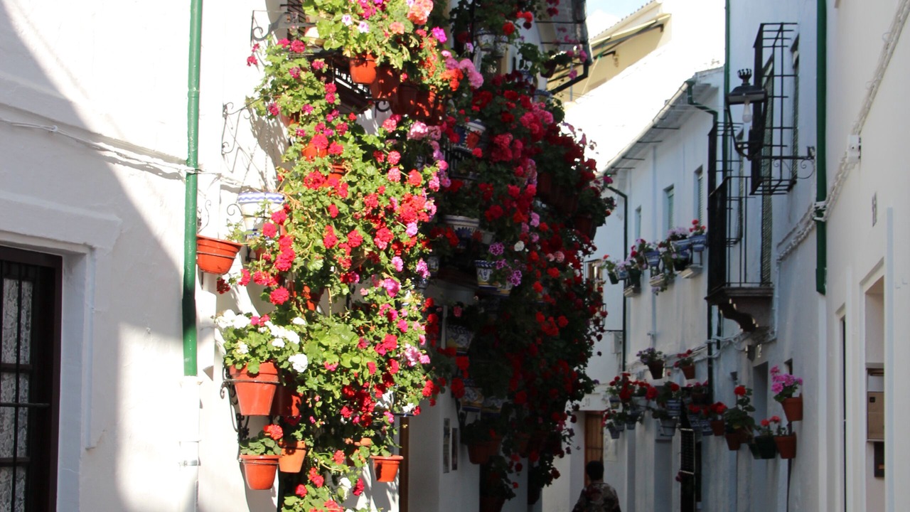 Photo of Outdoor in Priego de Cordoba