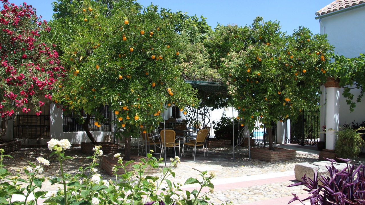 Photo of Outdoor in Priego de Cordoba