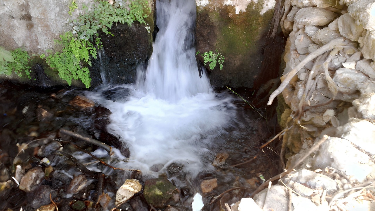 Photo of Others in Loja