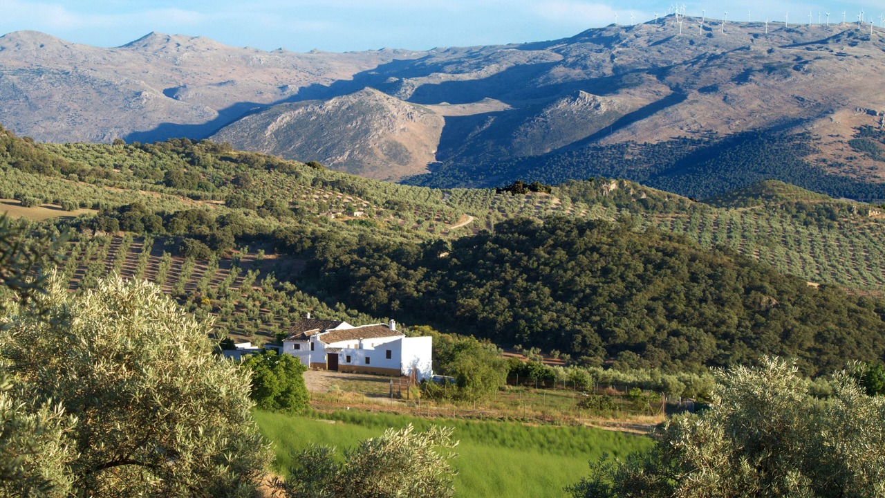 Photo of Others in Loja