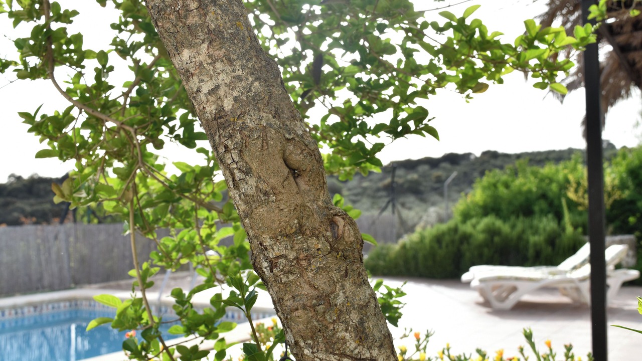 Photo of Outdoor in Loja