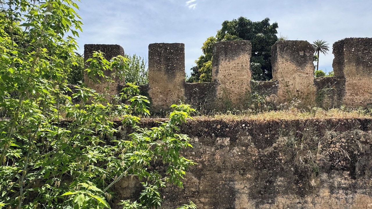 Photo of Others in San Julian