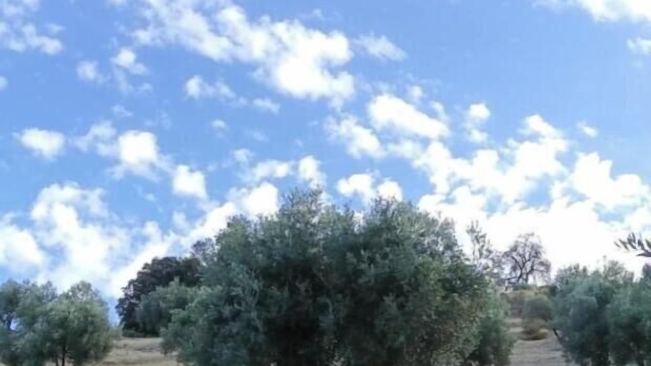Photo of Others in Almedinilla