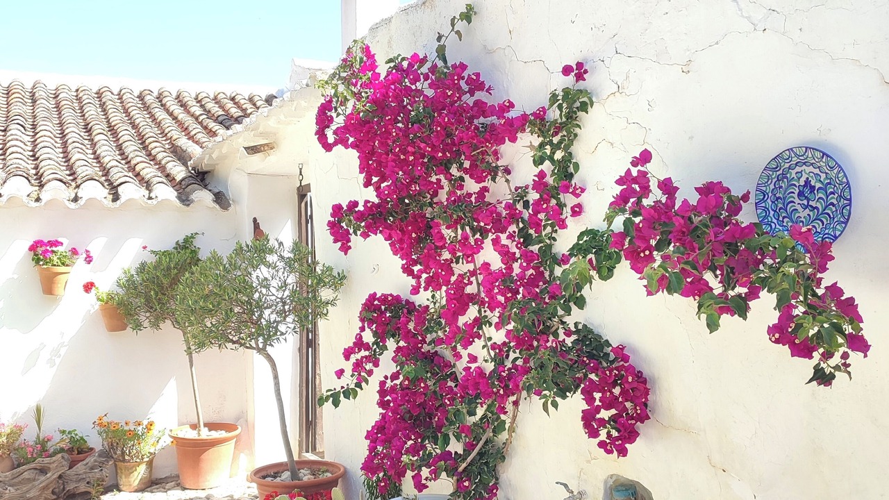 Photo of Outdoor in Villanueva del Trabuco