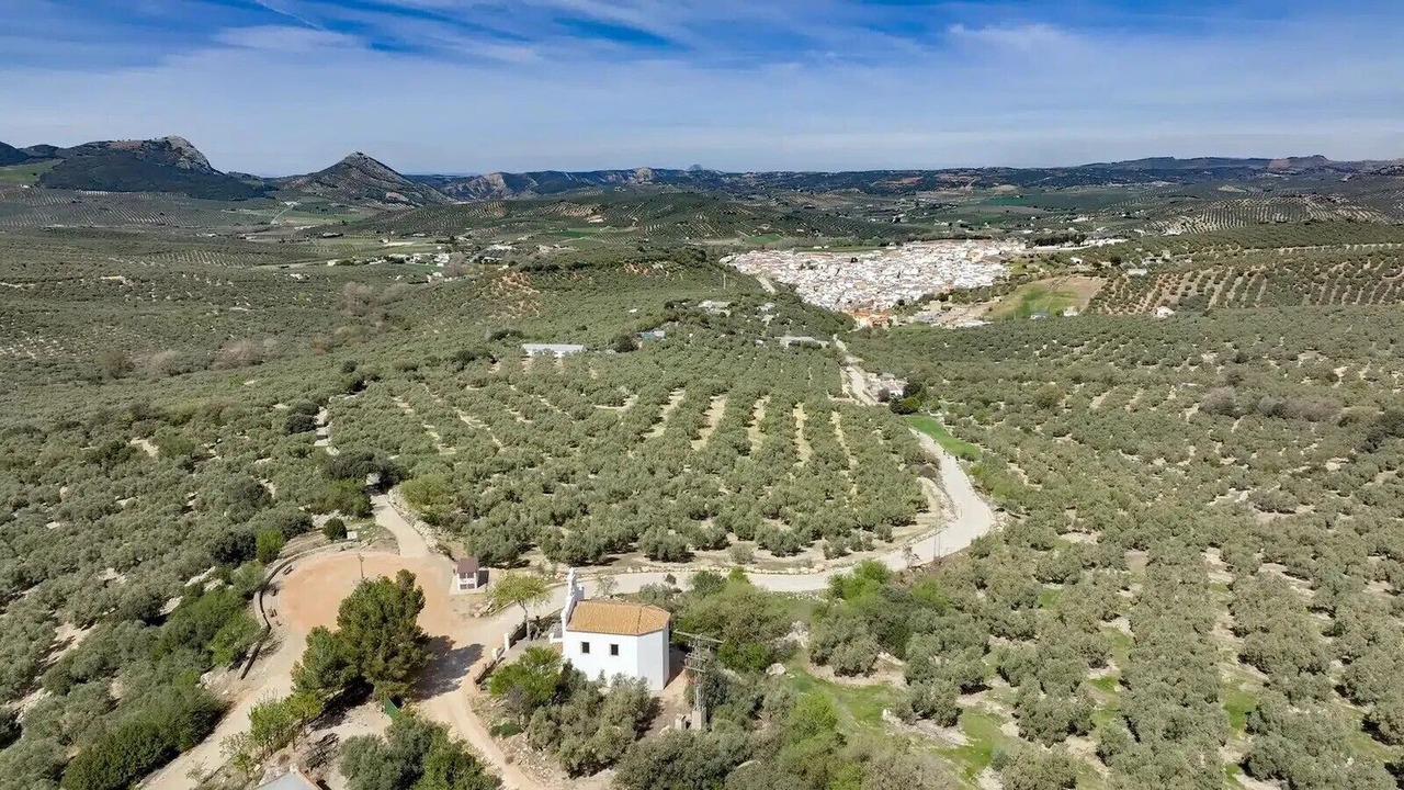 Photo of Outdoor in Villanueva del Rosario