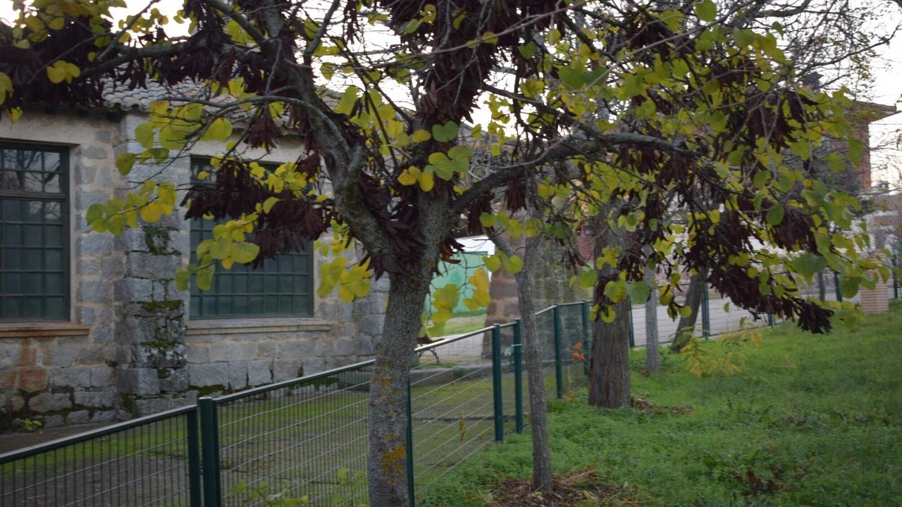 Photo of Outdoor in Menasalbas
