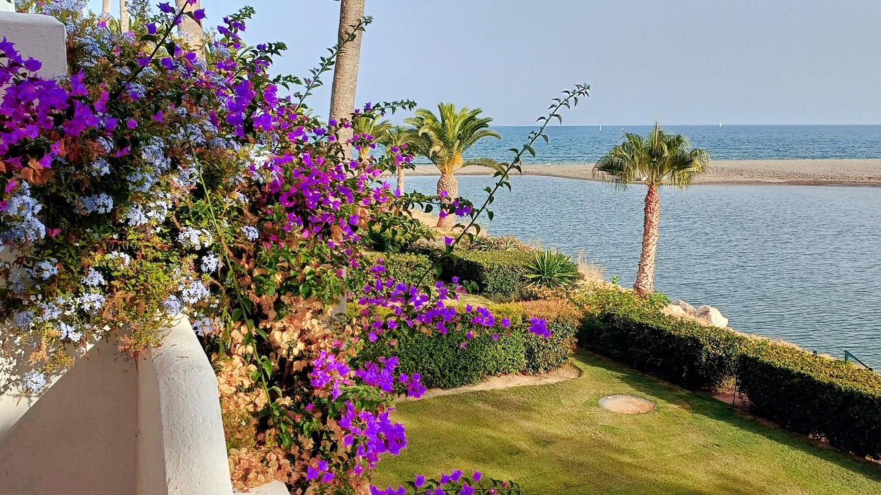 Photo of Outdoor in Sotogrande
