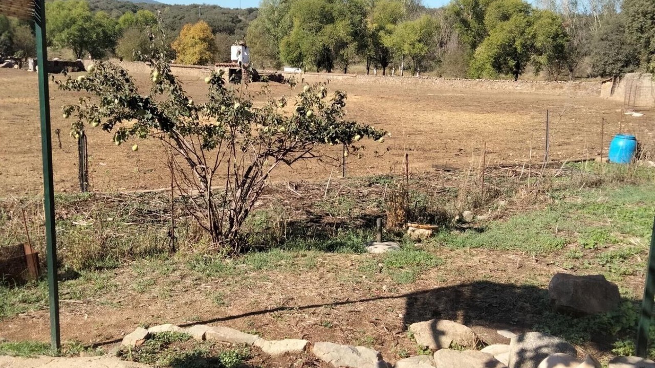Photo of Outdoor in El Real de la Jara