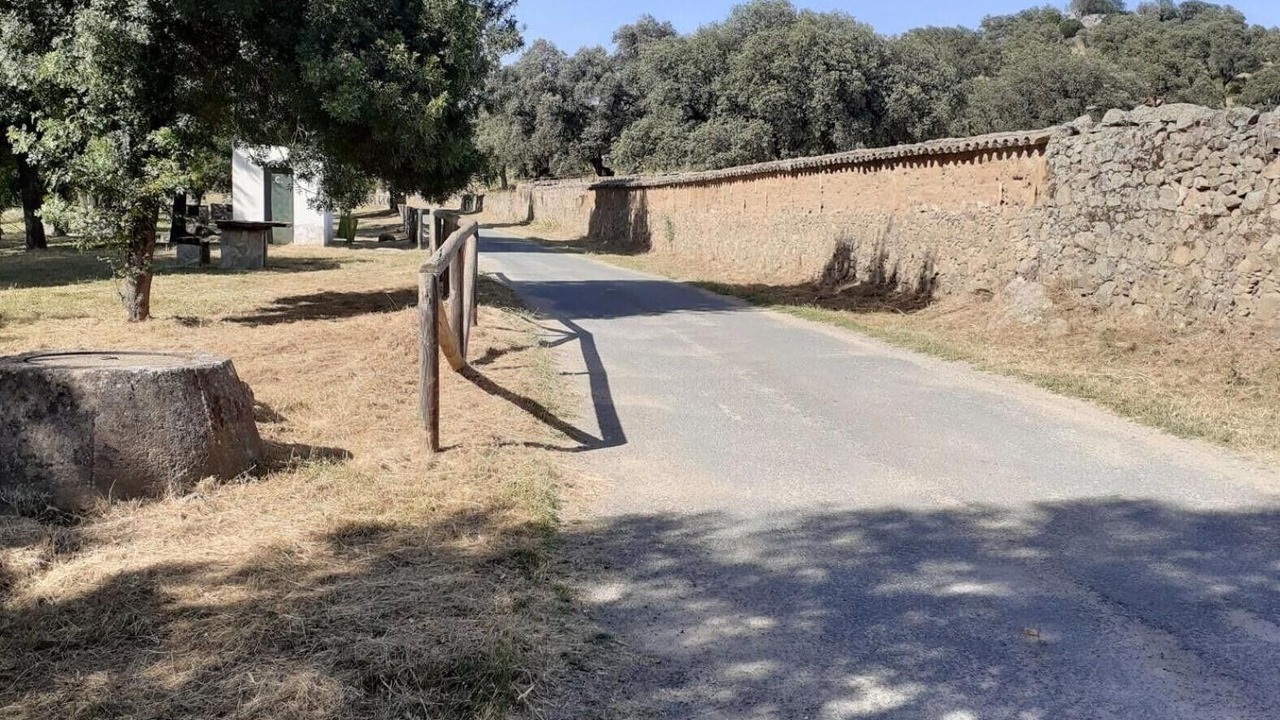 Photo of Others in El Real de la Jara