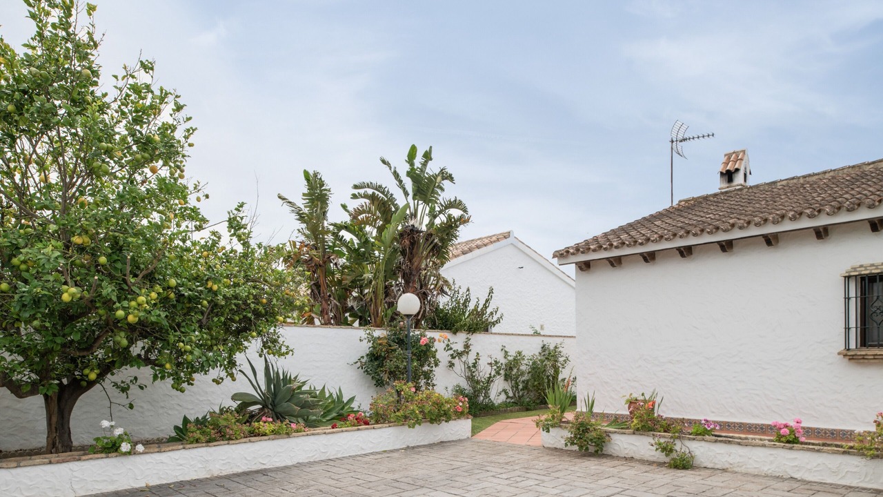 Photo of Outdoor in Conil de la Frontera