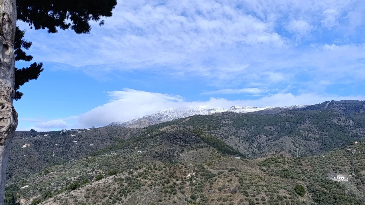 Photo of Others in Canillas de Albaida
