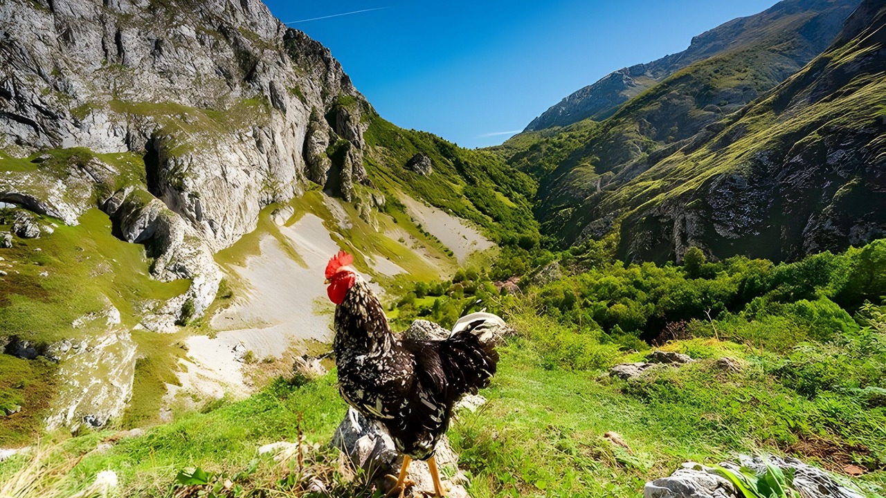 Photo of Others in Arenas de Cabrales